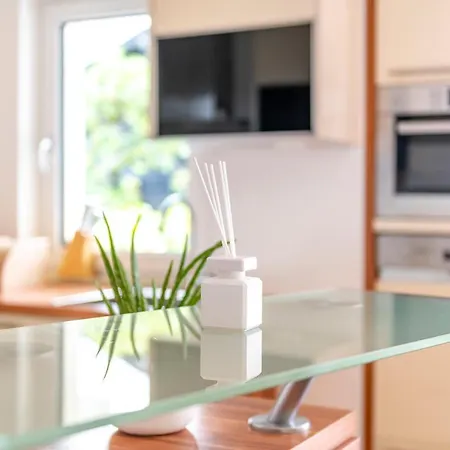 Apartmán Traunstein Aleksandra Altmünster