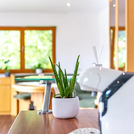 Lejlighed Traunstein Aleksandra Altmünster