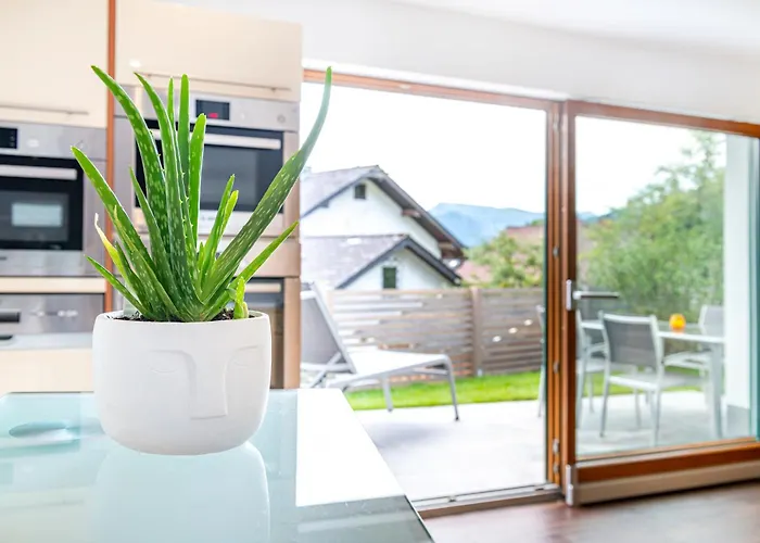 Traunstein Aleksandra