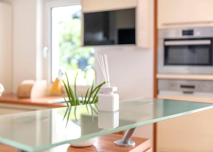 Apartament Traunstein Aleksandra Altmünster