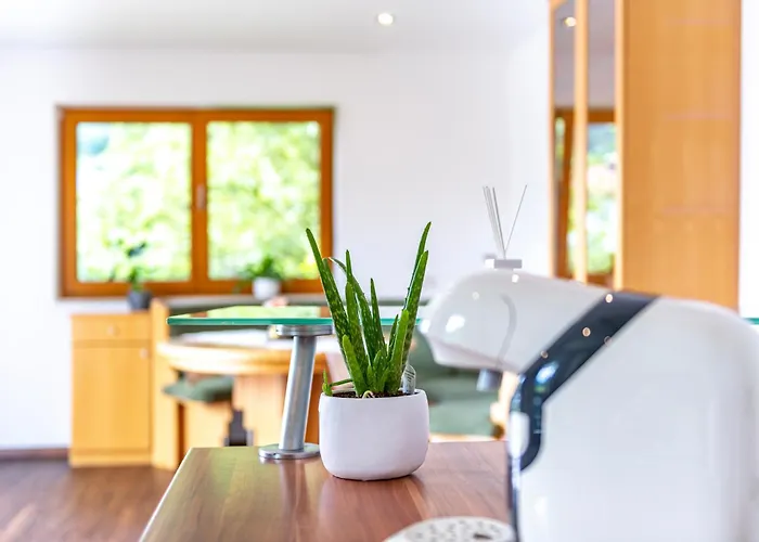 Apartament Traunstein Aleksandra Altmünster